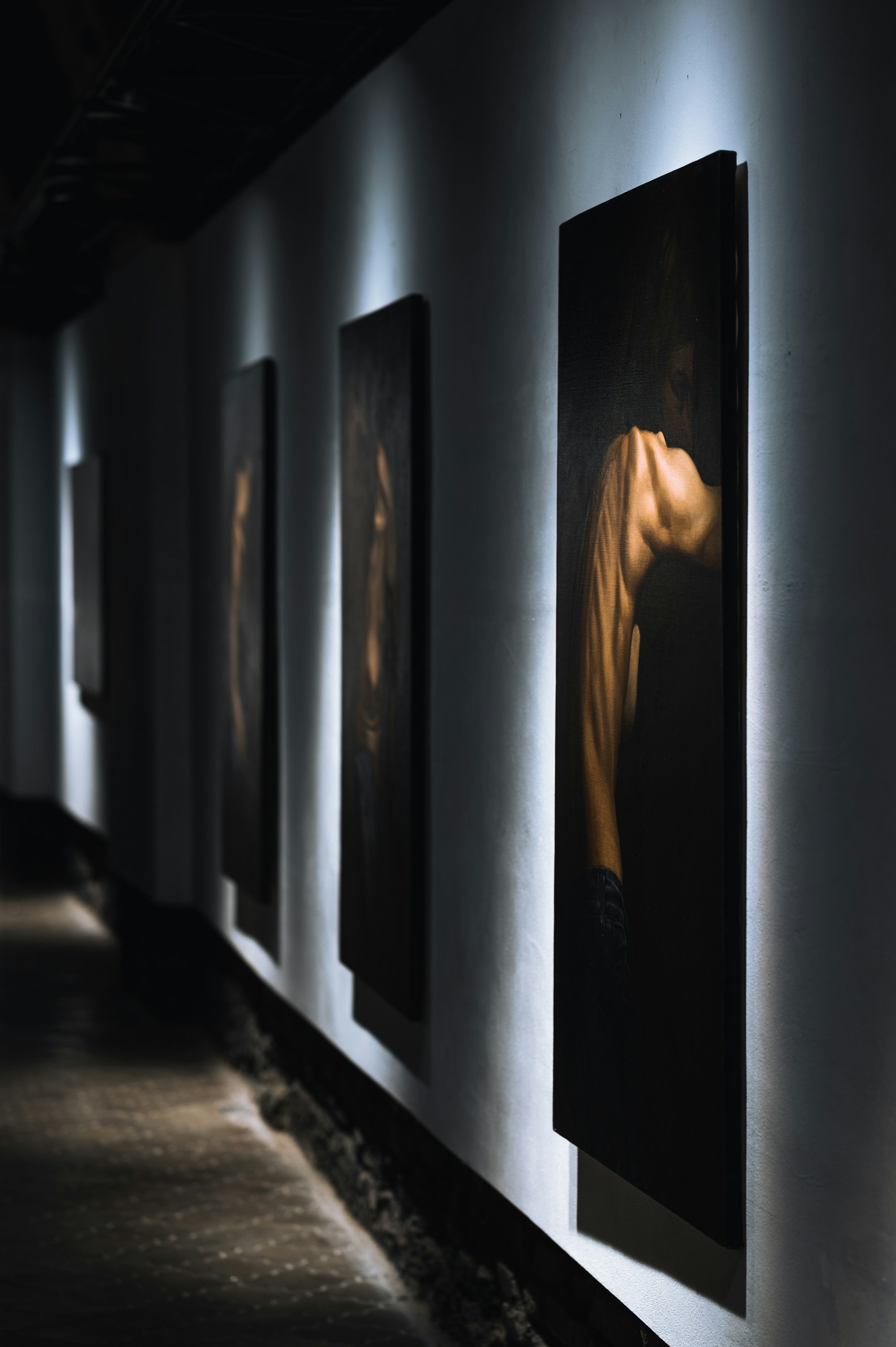 Artworks displayed in a gallery wall